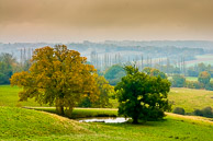 Kent Countryside